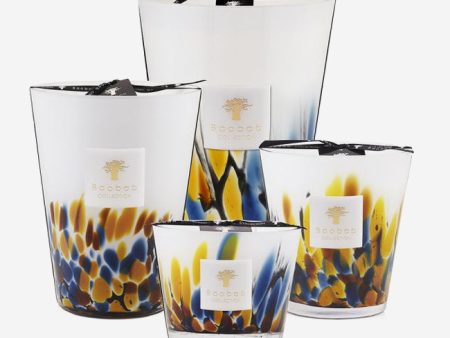 Baobab Collection | Rainforest Mayumbe Scented Candle Supply